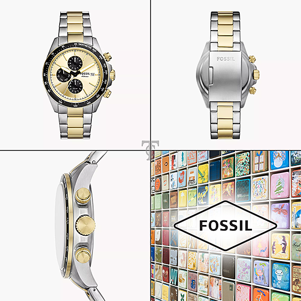 FOSSIL FS6126 portré kép